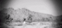 Alternative Rock Running GIF by Three Days Grace