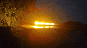 Strobe Lights GIF by AgriEyes