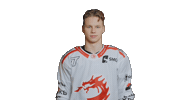Trinec Sticker by HC Oceláři Třinec