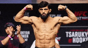 Ufc Fighter Sport GIF