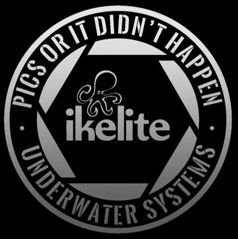 ikelite scuba underwaterphotography ikelite uwphoto GIF