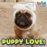 Puppy Love Dog GIF by Lucas and Friends by RV AppStudios