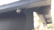 GIF by Demic
