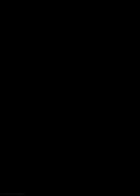 Golden Eagle Bird GIF