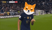 Shiba Inu GIF by SHIB MEMES