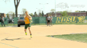 north dakota state bison GIF by NDSU Athletics