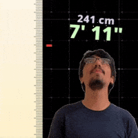 7' 11"