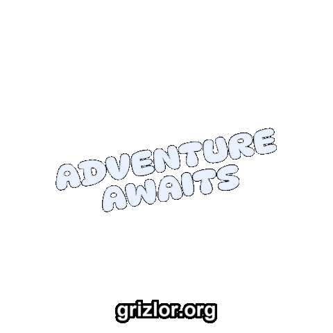 Fun Bear Sticker by grizlor