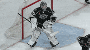 Sport Goal GIF by Ontario Reign