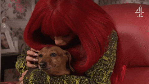 Sad Dog GIF by Hollyoaks