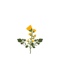 flower Sticker by Grounding Light