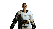 Norskhockey Sticker by Stavanger Oilers