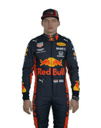 Ver Red Bull Sticker by Oracle Red Bull Racing