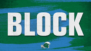Taylor Volleyball GIF by GreenWave