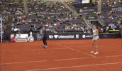 Panova GIF