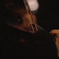 harry potter in concert GIF