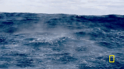 wicked tuna GIF by National Geographic Channel