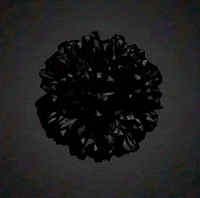 animation render GIF by Mathew Lucas 