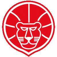 Basketball Lion Sticker by Use Basket