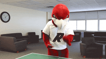 RiponCollege bird tennis rally ping pong GIF