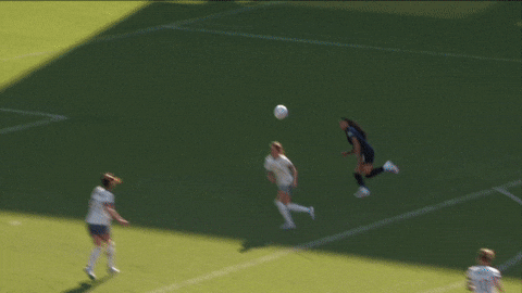 Goalcelebration Washingtonspirit GIF by National Women's Soccer League