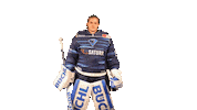 ercingolstadt hello hockey hallo winking Sticker