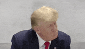 Donald Trump GIF by GIPHY News