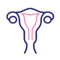 Uterus Sticker by OvulaRing
