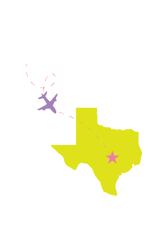 Texas Flight Sticker