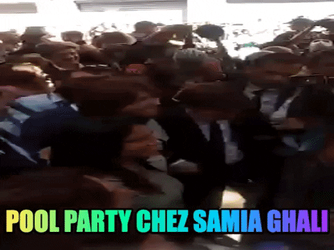 rem_coconuts giphygifmaker GIF