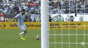 copa america centenario argentina GIF by Univision Deportes
