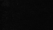 Con Mucho Acento GIF by Cruzcampo