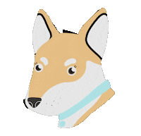 Dog Fun Sticker