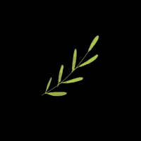 desireemesaescribano deplant GIF