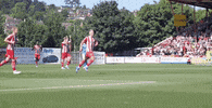Ecfc Exetercity GIF by Exeter City Football Club