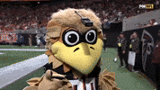 Spin Around Freddie Falcon GIF by Atlanta Falcons