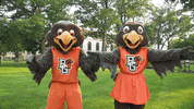 Bowling Green No GIF by Bowling Green State University