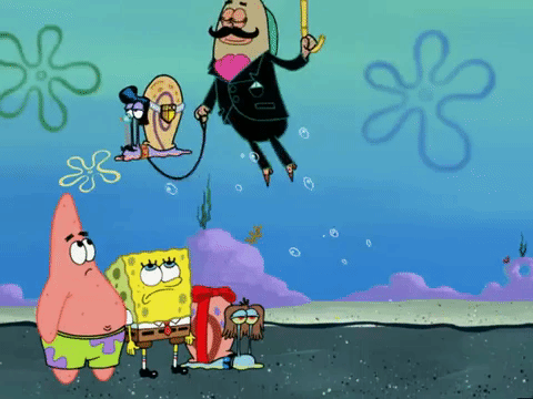 season 6 episode 10 GIF by SpongeBob SquarePants