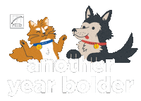 Dog Food Cat Sticker by Hill's Pet Nutrition