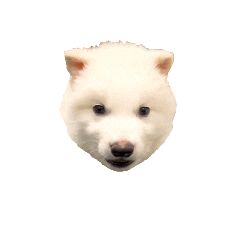 Dire Wolf Puppy Sticker by Colossal