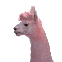 dance lol Sticker by Jules Mumm