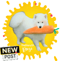 New Post Sticker