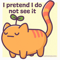 Cat Lol GIF by Castaways