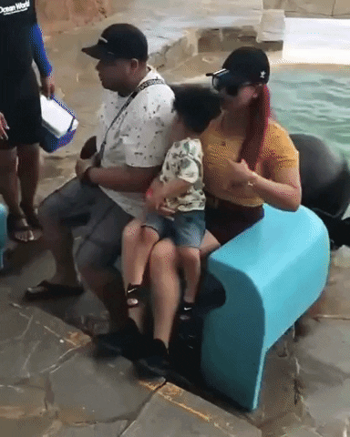 cuteanimalland giphyupload GIF