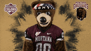 Happy College Sports GIF by College Colors Day