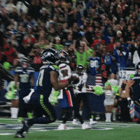 Seattle Seahawks Football GIF