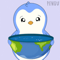 Water Penguin GIF by Pudgy Penguins