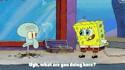 season 9 episode 13 GIF by SpongeBob SquarePants