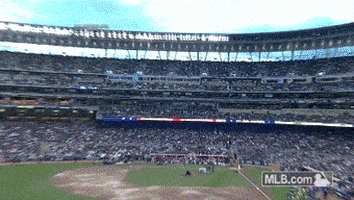 GIF by MLB