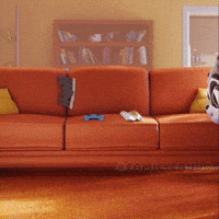 Lets Go Lol GIF by Family Cando